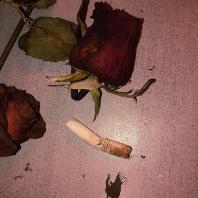 Tell Me Why It Hurts (feat. Saii) - Single