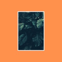 Mangoes - Single - The Ivy Station & Blu Tone