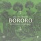 Bororo artwork