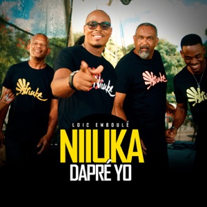 Dapré Yo (feat. NiiuKa)