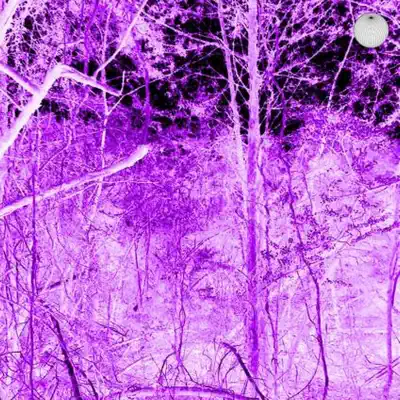 Listen to Gatekeeper - Single by Firehazard