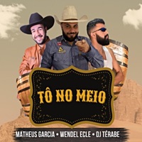 TÔ NO MEIO (feat. Matheus Garcia & Wendel Ecle) - Single - DJ Térabe