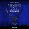 Tenebre e ossa: Grishaverse - Trilogia Tenebre e ossa 1 - Leigh Bardugo