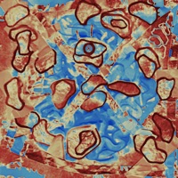 The XY Project - EP - Boy Jugo