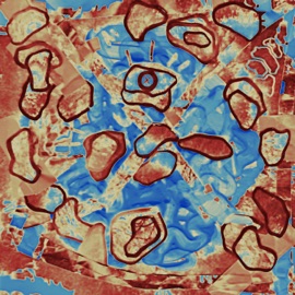 Moma, Thank You Boy Jugo