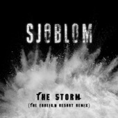The Storm (The Foreign Resort Remix) artwork