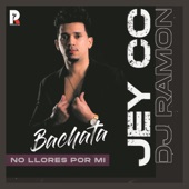 No Llores Por Mi (Bachata) artwork