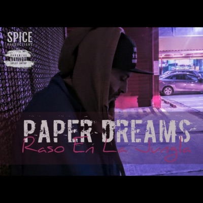 Paper Dreams - Single