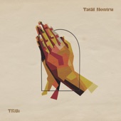 Tatăl Nostru (feat. Sami Tonea) artwork