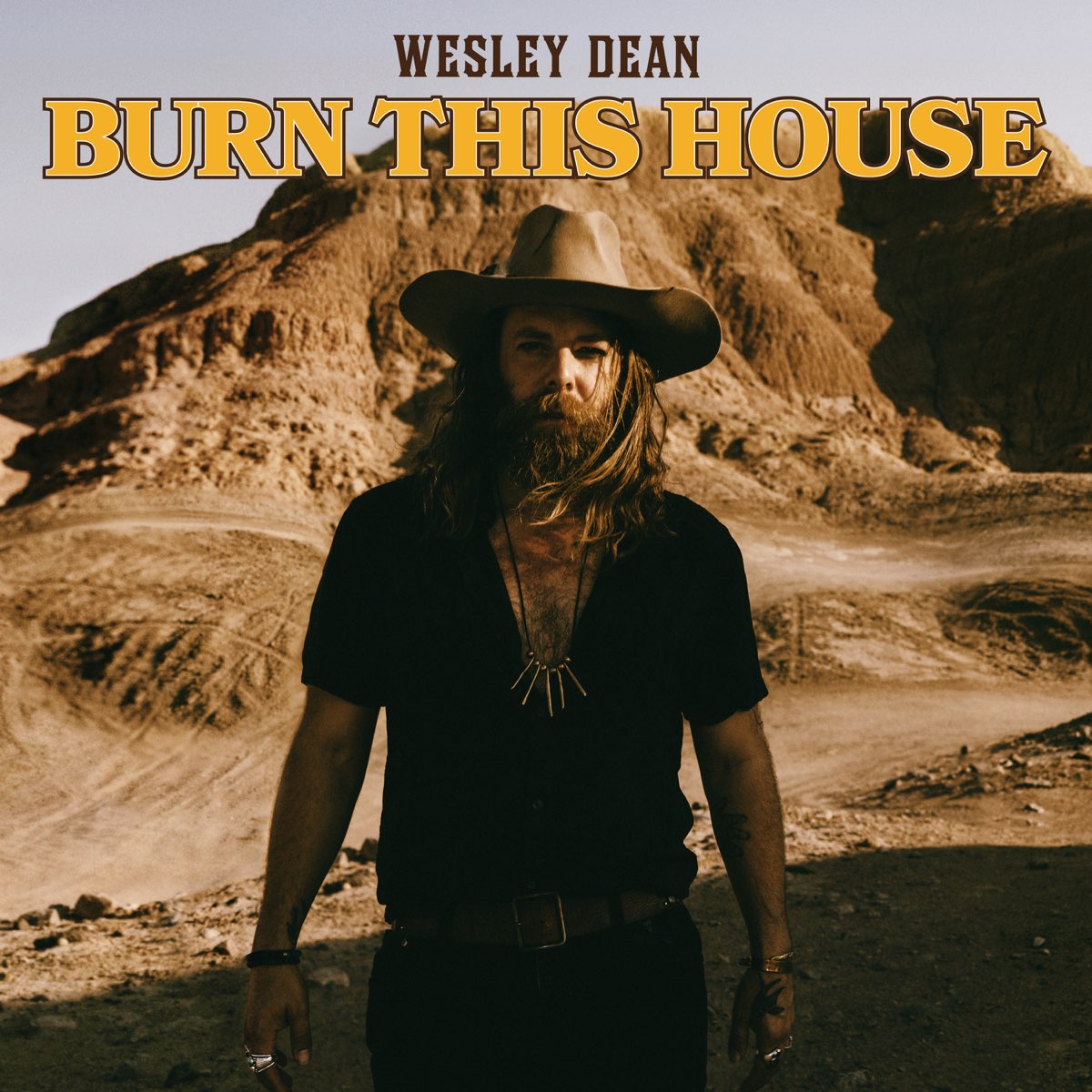 ‎Burn This House - Single - Album by Wesley Dean - Apple Music