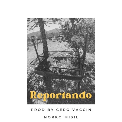 Reportando (feat. Agrio Lemon) [Norko misil] - Single