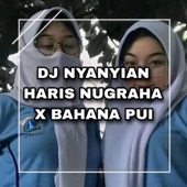 DJ NYANYIAN HARIS NUGRAHA X BAHANA PUI artwork