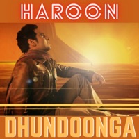Dhundoonga - Single - Haroon