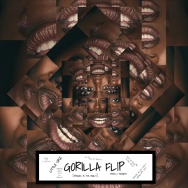 Gorilla Flip (Bangas In Da Vault) shwiLLy