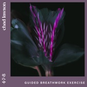 4-7-8 (guided breathwork exercise) artwork