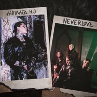 Анплагд, Ч.3 - Neverlove