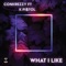 What I Like (feat. K Pi$tol) - ConKrezzy lyrics