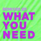 What You Need (Gяeg Remix) artwork