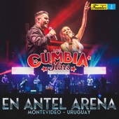 Los Cumbia Stars - Amapola - En Vivo