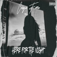 Here For the Night - Single - Coogie Ferro