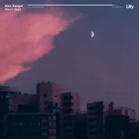 Won't Wait — Alex Keeper