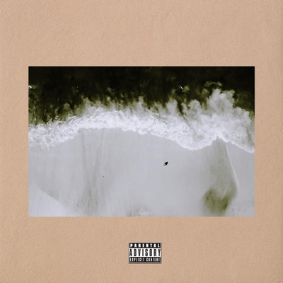 13th Sunday - Single