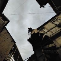 Мальчик хочет (feat. VITO) - Single - Nice Davis