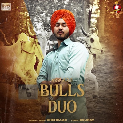 BULLS DUO - Single