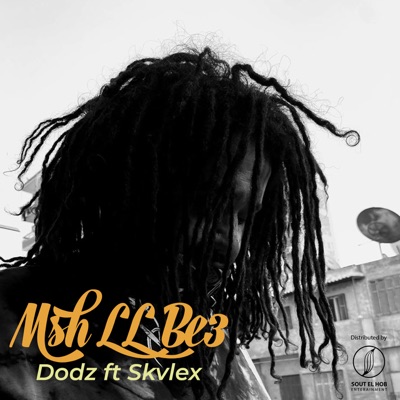 Msh LL Be3 (feat. Skvlex) - Single