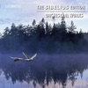 Dong Suk Kang 2 Serenades for Violin & Orchestra, Op. 69: No. 1 in D Major The Sibelius Edition, Vol. 8: Orchestral Works