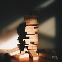 Jenga - Single - Goose