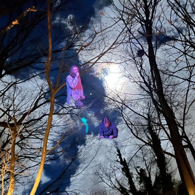 Live at Bachmann's Basement - EP