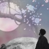 Cherryfall Into the Moon - Single