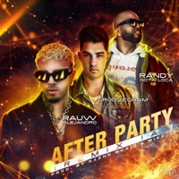 After Party (feat. Aran) [Remix IA] - Single - Groovegram