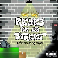 Reyes de la Street (feat. Drop) - Single - Duck Castle