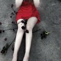 euphoric outbursts & lovely daydreams, ily dopamine. (feat. Kacie Free) - Single - kurome