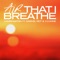 Air That I Breathe (feat. x.o.anne) artwork