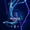 Find the Owner of the Glass Slipper - Slow Sound lyrics