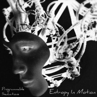 Programmable Seductions - EP - Entropy in Motion