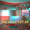 Tom Bjerg - Sig Hvad Det Er