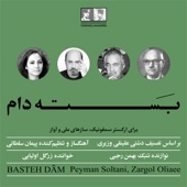 Baste Dam (feat. Bahman Rajabi) artwork