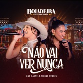 Boiadeira Internacional: Não Vai Ver Nunca artwork