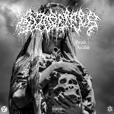 332 Degrees (feat. Heir Polo) - Single