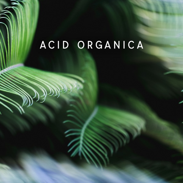 Acid Organica: Chill Psychedelic Experience, Folktronica