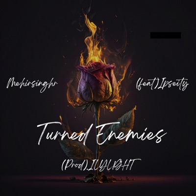 Turned Enemies (feat. Ipseity) - Single
