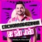 Pegador Estourou - Douglas Pegador lyrics