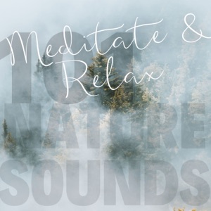 Sound of the Forest - Meditate & Relax