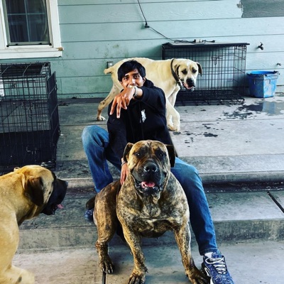 Crisp Kombat - Single