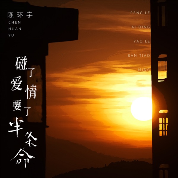 碰了爱情要了半条命 - Single