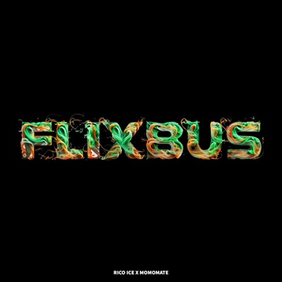 FLIXBUS (feat. momomate) - Single